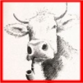 Mister Moo's Avatar Mister Moo's Avatar