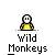 Wildmonkey